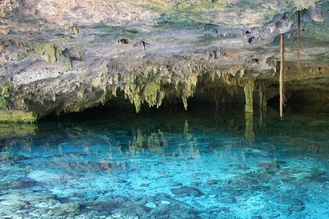 Half Day Horseback Riding Adventure with Cenotes in the Jungle - Price, Time, and What You Get for $127