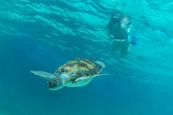 Half Day Luxury Sailing Experience in Riviera Maya with Open Bar - Rough water reality: what can happen and how to plan your expectations