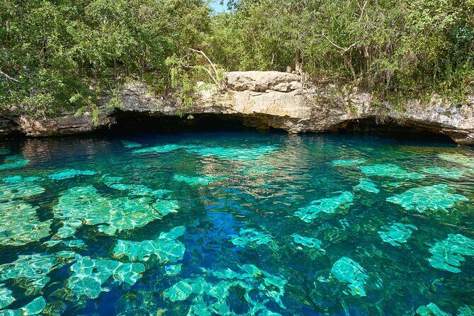 Half Day Private Snorkeling with Turtles and Majestic Cenotes - Akumal Beach snorkeling with sea turtles and reef fish