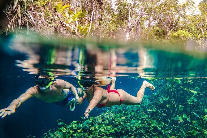 Half Day Private Snorkeling with Turtles and Majestic Cenotes - Should you book it?