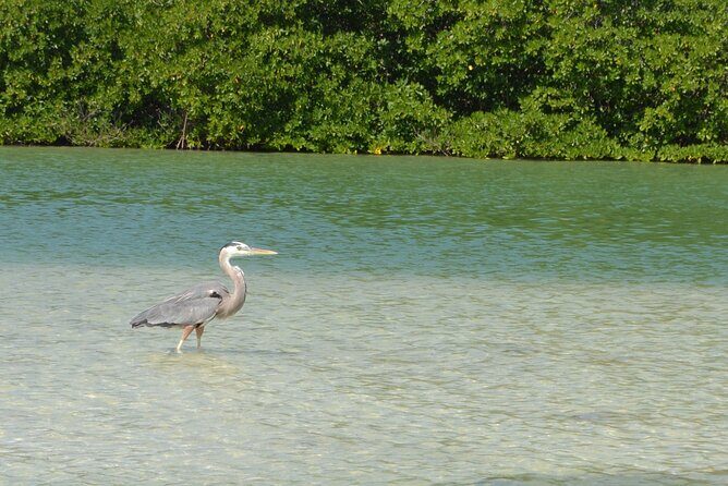 Half-Day Tour Discovering Sian Ka´an with Lunch - Lunch, food notes, and how to handle dietary limits
