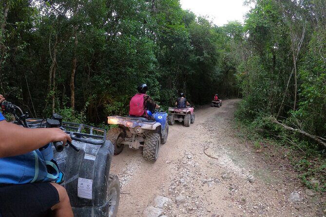 Jungle ATV Adventure: Unveiling Akumal's Enchanting Cenotes - Stop Two: A Secluded Wildlife Cenote Moment