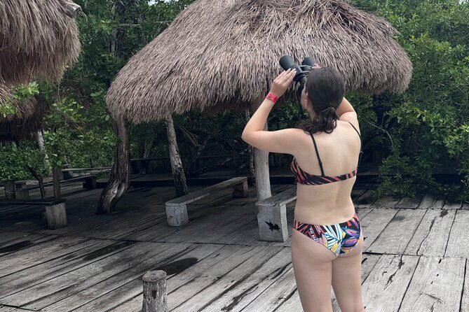 Kaan Luum Lagoon and Cenote Adventure - A quick checklist for a smooth lagoon and cenote morning