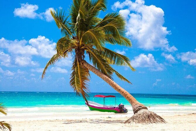 Kaan Luum Lagoon, Cenote Zacil Ha & Cenote Zemway Tour from Tulum - Price: What $140 Buys You in Entrances, Lunch, and Transport