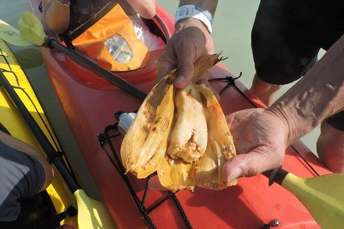Kayak Sian Ka’an Biosphere Reserve Sunset Tour - What you do on the water (and what you’re likely to see)