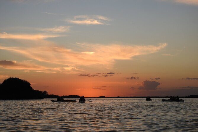 Kayak Sian Ka’an Experience - The Sian Ka’an Biosphere Reserve paddle: mangroves, birds, and underwater life