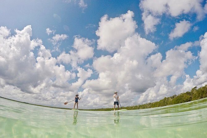 Lagoon Paddleboarding Tour in Tulum - Meeting point and transport: how to get there with zero stress