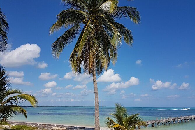 Magic Sian ka'an Deluxe two boats - From Tulum to the reserve: the short jungle run