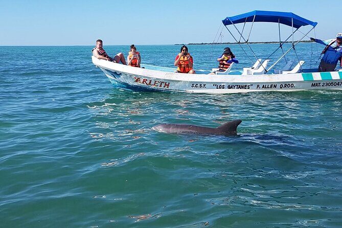 Magic Sian ka'an Deluxe two boats - Dolphins, sea turtles, and snorkeling on the second longest reef