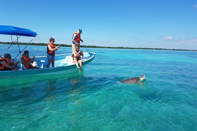 Magic Sian ka'an Deluxe two boats - Stop 1: Boat safari through mangroves to Punta Allen