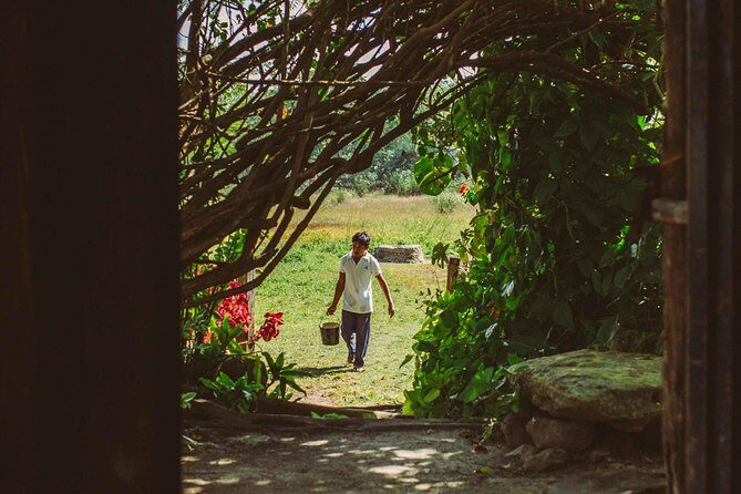 Mayan Backroads Private Bike Tour from Tulum - Punta Laguna reserve: monkeys, canoe time, and zip-line