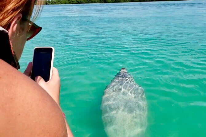 Nature Day, Sian Kaan Biosphere Tour! Round Transportation from Tulum City - Lunch Break in the Reserve: Simple Meal, Real Setting