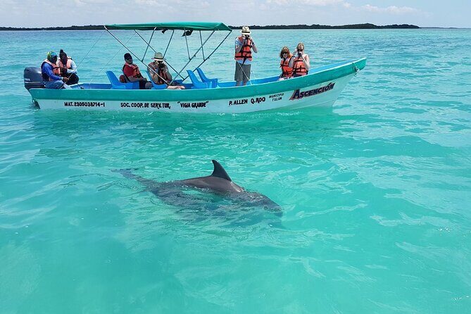 Nature Day, Sian Kaan Biosphere Tour! Round Transportation from Tulum City - What You Get for $201: Value Breakdown That Makes Sense