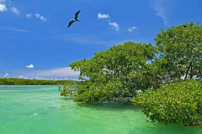Nature Day, Sian Kaan Biosphere Tour! Round Transportation from Tulum City - First Stop: Sian Ka’an Biosphere Reserve by Boat