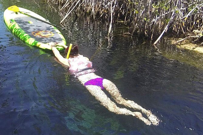 Paddleboard Cenote Tour - Your 3 to 4 hour schedule, from pick-up to Casa Cenote