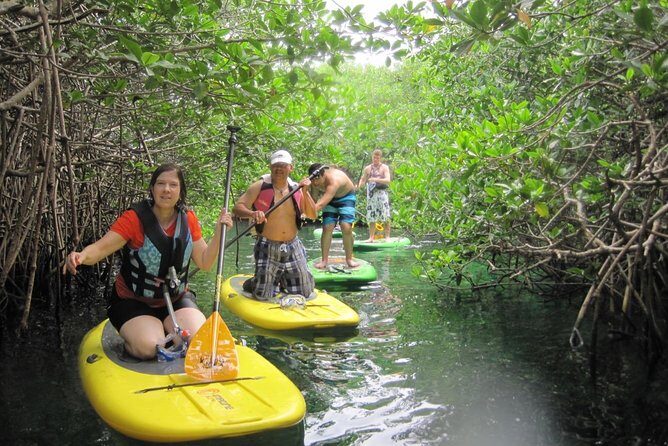 Paddleboard Cenote Tour - Snorkeling in crystal-clear water and real marine life