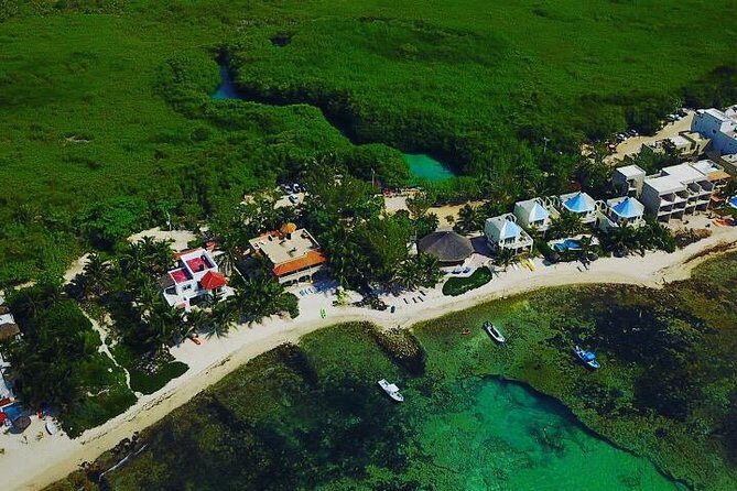 Paddleboard Cenote Tour - Casa Cenote’s setting: mangroves, wildlife, and a smaller stop done well