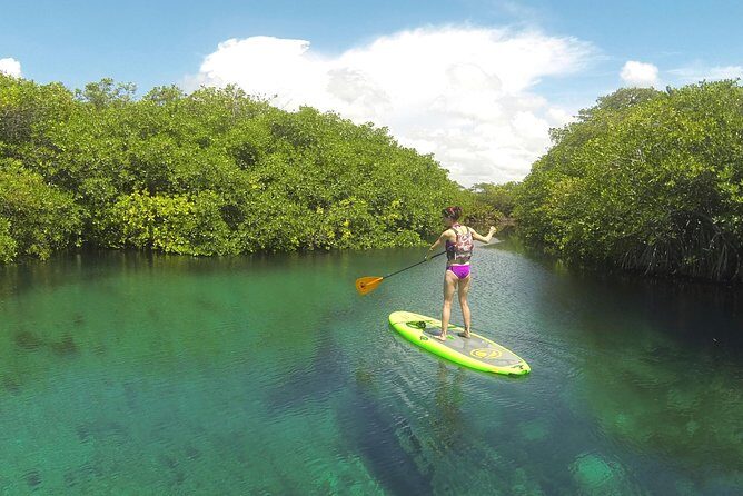 Paddleboard Cenote Tour - Private group format, English support, and pacing