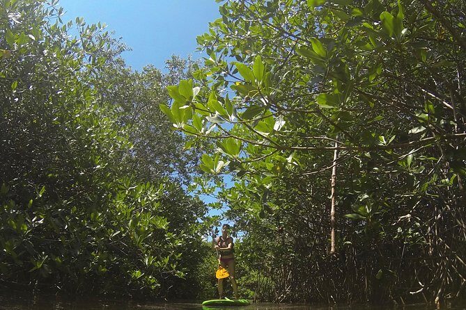 Paddleboard Cenote Tour - Value checklist: what you get for the time