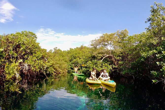 Paddleboard Cenote Tour - SUP basics in a cenote: why the guide coaching matters