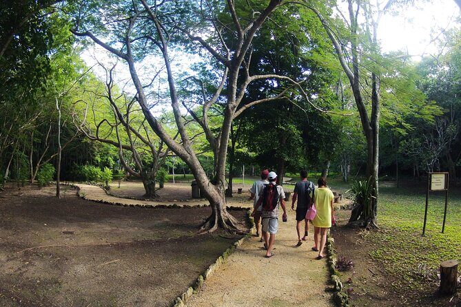 Private Birdwatching Tour in Sian Ka'an Muyil - Muyil Village Walk: Birdwatching in a Living Community