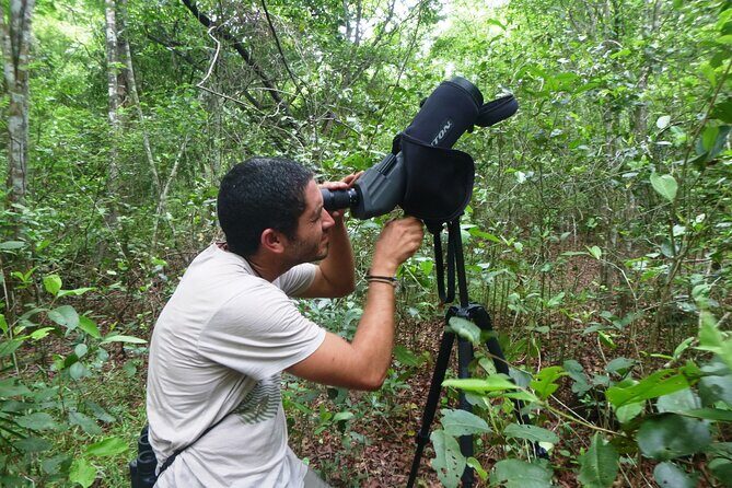 Private Birdwatching Tour in Sian Ka'an Muyil - Binoculars and Gear: The One Thing You Should Not Forget