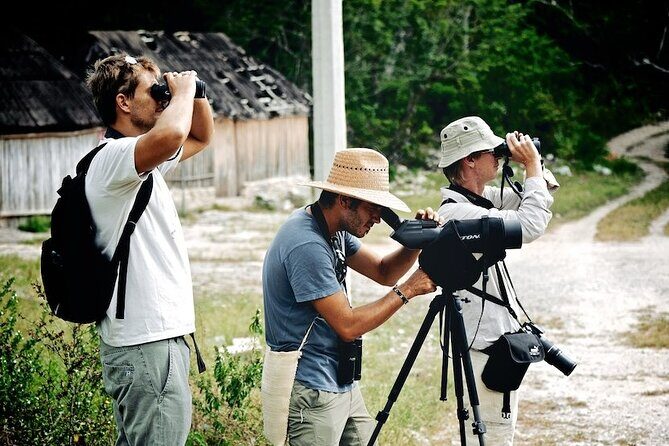 Private Birdwatching Tour in Sian Ka'an Muyil - Optional Sian Ka’an Upgrade: Lagoons, Canals, and Water Time