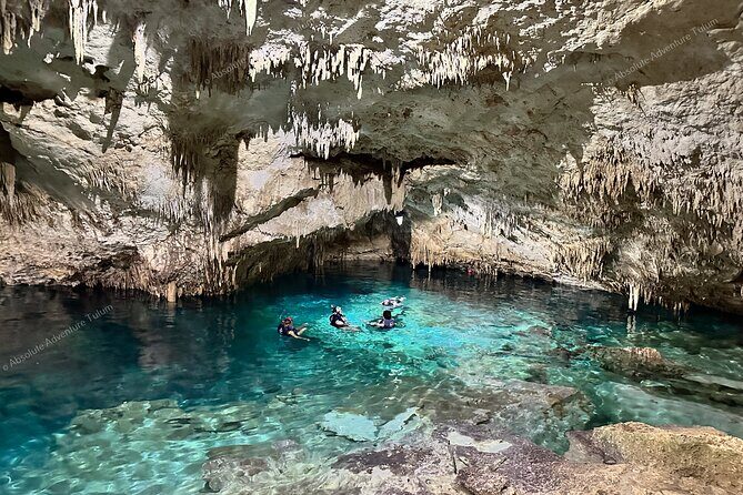 Private Cenote Snorkeling Tour – Tulum’s Hidden Gems - Who This Private Snorkeling Tour Fits Best