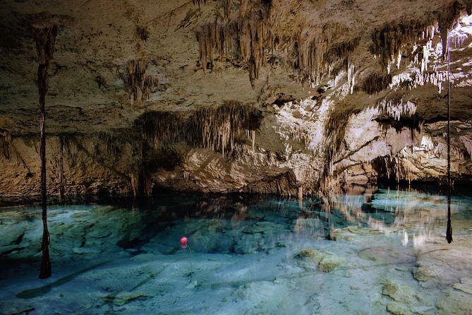 Private Cenote & Snorkeling Tour with Turtles in Akumal - Who this tour is best for (and who should think twice)