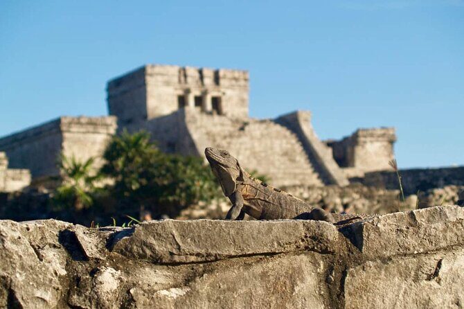 Private Half Day Tour to Tulum Temples and Downtown Shopping - Who This Tour Fits Best