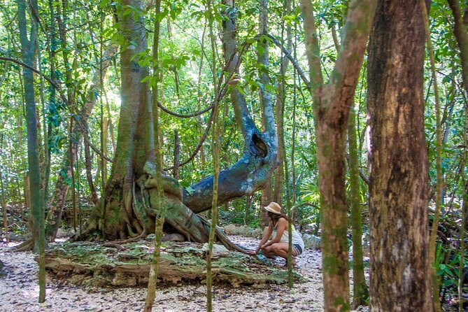 Private tour of Tulum Archaeological Site & Sian Ka'an Muyil - Tulum Archaeological Site: two hours that don’t feel like homework