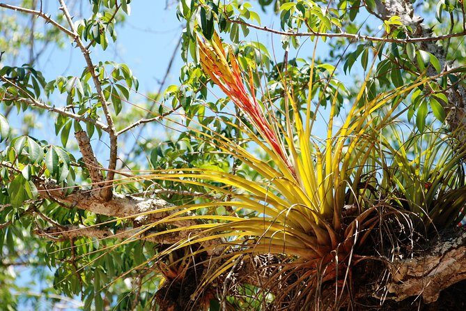 Private tour of Tulum Archaeological Site & Sian Ka'an Muyil - Guide energy makes the difference: Joseline and the vibe you’ll want