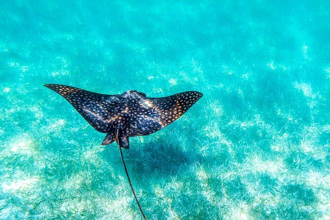 Private tour - Sian Ka´an Adventure - Biosphere reserve briefing: the smartest part of the day