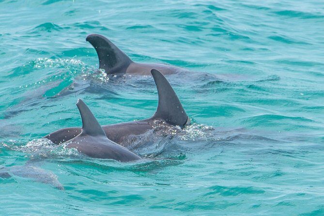 Private tour - Sian Ka´an Adventure - Who will enjoy this most (and who should skip it)