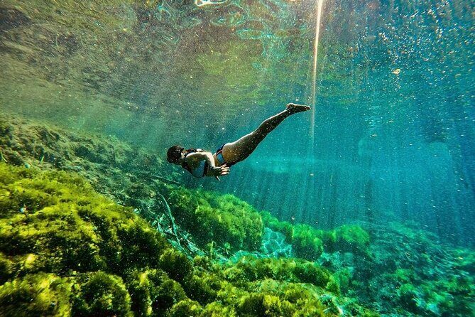 Private Tour Turtles Coral Reef Cenote Beach All inclusive - Cenote Xunaan-Ha (Taakbiha): swimming in freshwater and learning why it matters