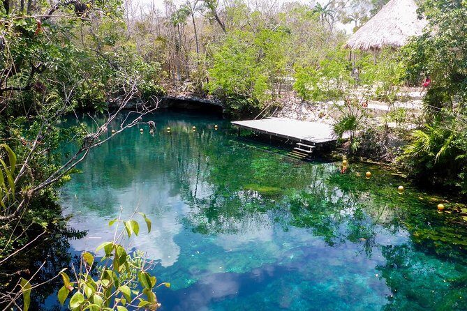 Private transfer for 5 hours (go dinner,cenotes, shopping and more) - How a 5-hour private transfer works in Tulum