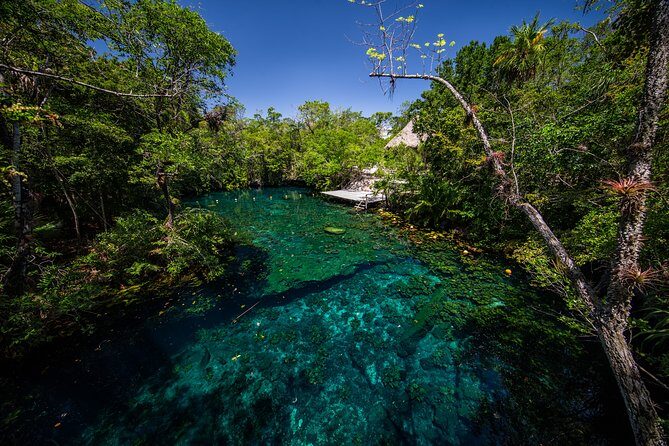 Private - Tulum Ruins and 3 Cenotes Jungle Adventure - Private transport and guides: value lives in the details