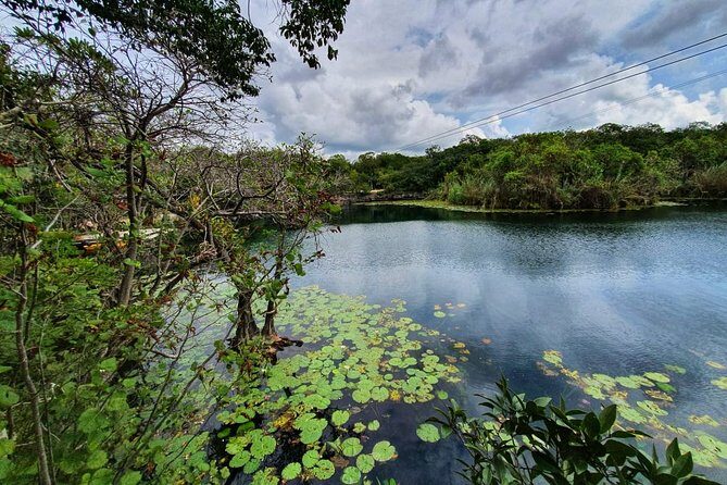 Private - Tulum Ruins and 3 Cenotes Jungle Adventure - Price and pickup fees: where the $319 really goes