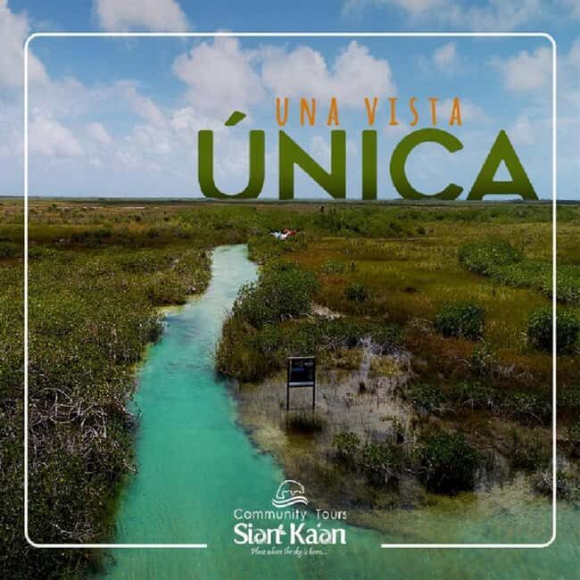 Riviera Maya: Sian Ka'an Reserve Ancient Maya Canals Tour - Capelchén and Boca Paila: wildlife chances and that postcard water meeting