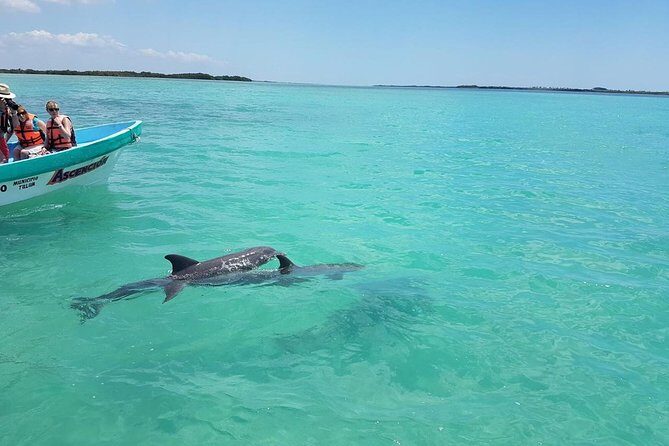 Sian Ka'an Biosphere Full Day Boat Tour with Lunch - Lunch Buffet, Bottled Water, and Break Time on a Charming Stop