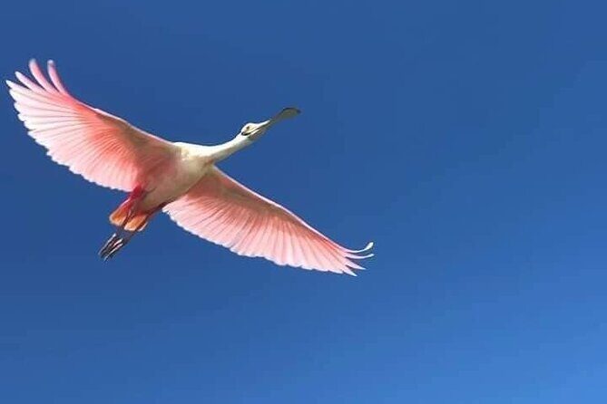 Sian Ka'an Biosphere Full Day Boat Tour with Lunch - Price and Logistics: Is $269 Worth It?
