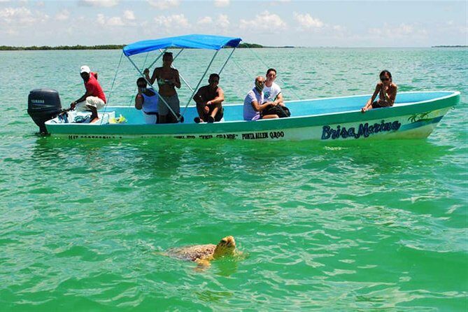 Sian Ka'an Biosphere Full Day Boat Tour with Lunch - Who This Tour Fits Best (and Who Might Prefer a Different Plan)