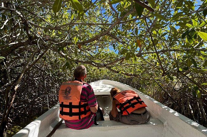 Sian Ka'an Biosphere Reserve Guided Tour - What “Private Tour” Really Means for Your Day