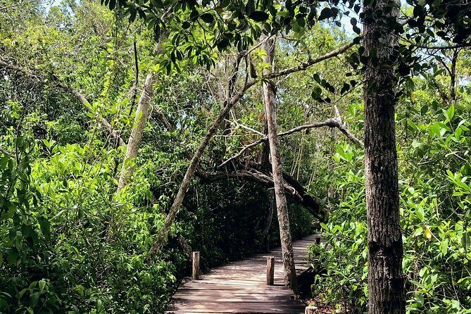 Sian Ka'an Biosphere Reserve Guided Tour - Price and What You’re Actually Paying For (No Surprise Math)