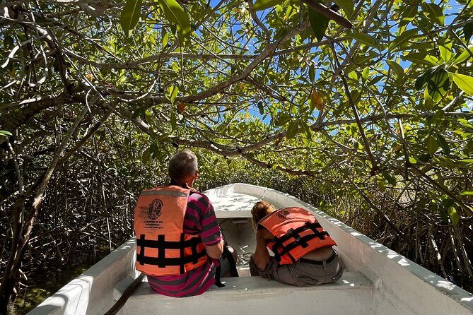 Sian Ka'an Biosphere Reserve Guided Tour - Pickup in Tulum: Fewer Headaches, More Jungle Time