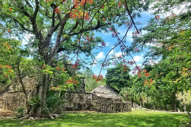 Sian Ka'an Biosphere Reserve Guided Tour - The Guide Experience: Why Eduardo’s Style Matters