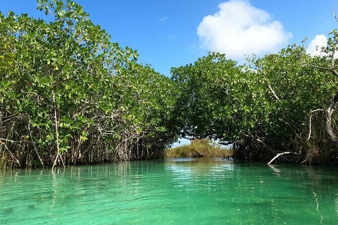 Sian Ka'an Biosphere Reserve Guided Tour - Sian Ka’an Biosphere Reserve: The Lazy Rivers Part You’ll Remember