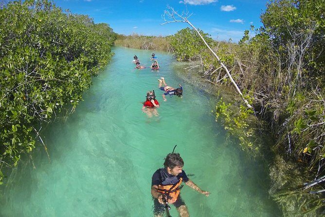 Sian Kaan Lagoons - Snorkeling setup and cenote time: what to expect in the water