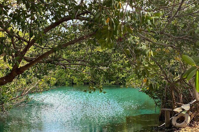 Small-Group 3 Cenotes Adventure Tour - Guide styles: why Jessica, Pablo, Alonso, Marco, and others matter