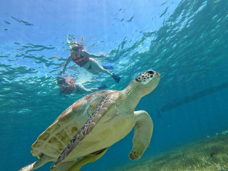 SNORKEL IN TULUM REEF, BOAT RIDE AND CALETA - Reef snorkeling in front of Tulum ruins: what you’re really buying